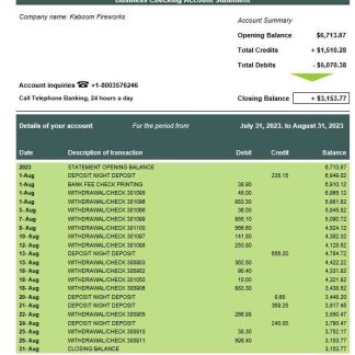 HSA Bank enterprise account statement Word and PDF template download template file