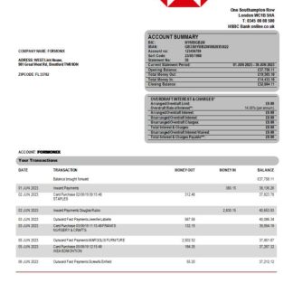 HSBC Bank company statement Word and PDF template download template file