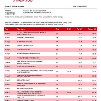 HypoVereinsbank enterprise statement Word and PDF template download template file