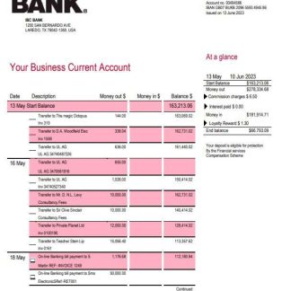 IBC Bank business checking account statement Word and PDF template download template file
