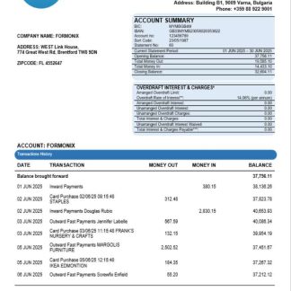 iCard business bank statement Word and PDF format download template file