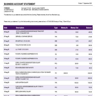Inbank business firm account statement Word snd PDF format download template file