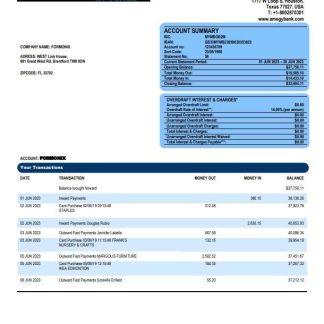 Amegy Corporation Bank organization account statement Word and PDF template download template file