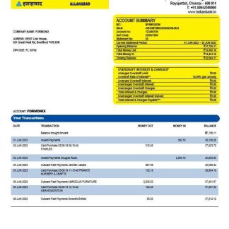 Indian Bank organization checking account statement Word and PDF template download template file
