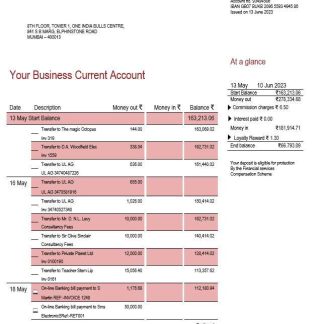 Indusind Bank enterprise statement Word and PDF template download template file