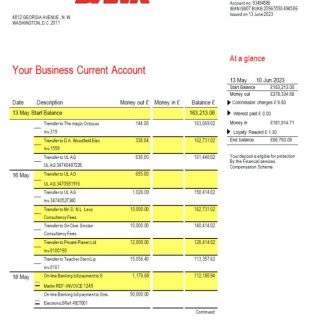 Industrial Bank firm account statement Word and PDF template download template file