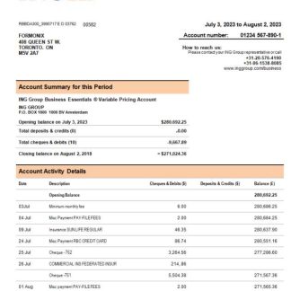ING Groep bank company account statement Word and PDF template download template file