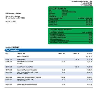 Interbank organization account statement Word and PDF template download template file