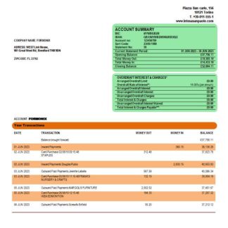 Intesa Sanpaolo Bank enterprise account statement Word and PDF template download template file