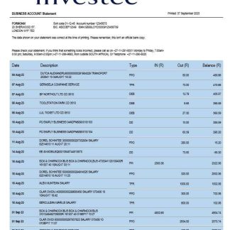 Investec Bank organization statement Word and PDF template download template file