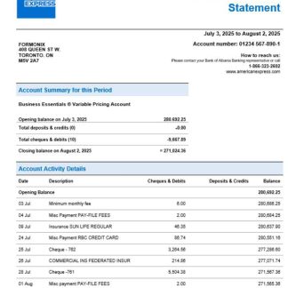 American Express Air Miles enterprise account statement Word and PDF template download template file