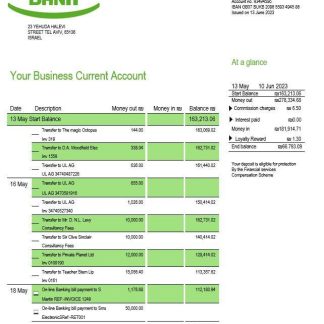 Israel Discount Bank firm statement Word and PDF template download template file