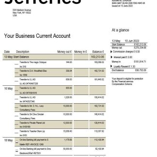 Jefferies Bank company checking account statement Word and PDF template download template file