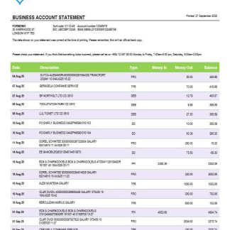 Amrahbank account business statement Word and PDF format download template file