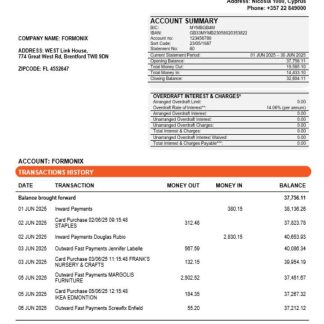 Ancoria bank business account statement Word and PDF template download template file