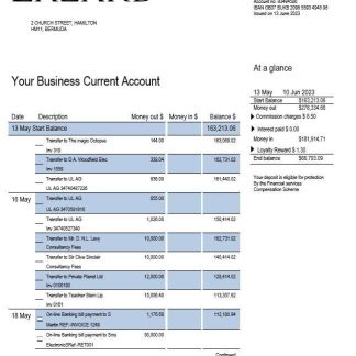 Lazard Bank business statement Word and PDF template download template file