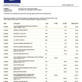 LCL Bank business statement Word and PDF template download template file