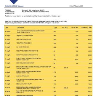 LGT Bank organization checking account statement Word and PDF template download template file