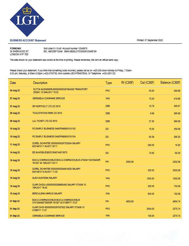 LGT Bank organization checking account statement Word and PDF template download template file