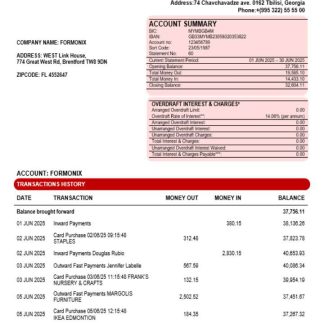 Liberty bank organization checking account statement Word and PDF format download template file
