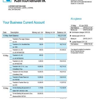Luzerner Kantonalbank Bank organization checking account statement Word and PDF template download template file