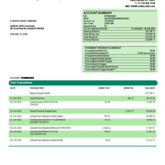 M&T Bank company statement Word and PDF template download template file