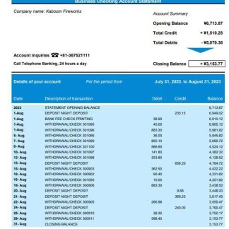 Aozora Bank organization checking account statement Word and PDF template download template file