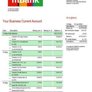 MBank company statement Word and PDF template download template file