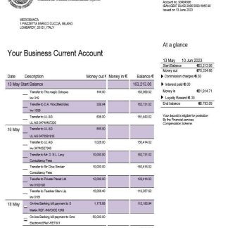 Mediobanca business statement Word and PDF template download template file