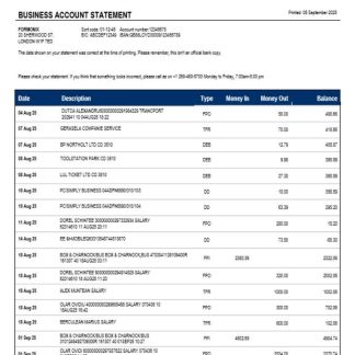 Meinl Bank company checking account statement Word and PDF template download template file