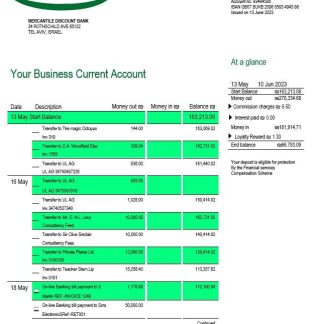 Mercantile Discount Bank business statement Word and PDF template download template file