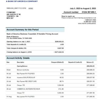 Merrill Bank organization account statement Word and PDF template download template file