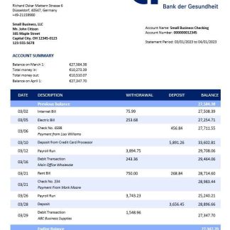 Apobank enterprise account statement Word and PDF template download template file