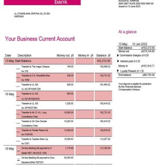 Millenium Bank enterprise statement Word and PDF template download template file