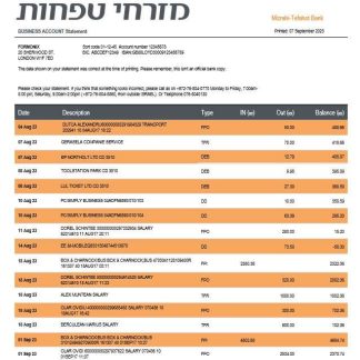 Mizrahi Tefahot Bank organization statement Word and PDF template download template file