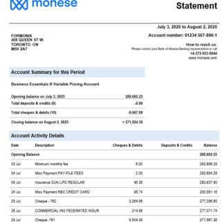 Monese bank business bank statement Word and PDF format download template file