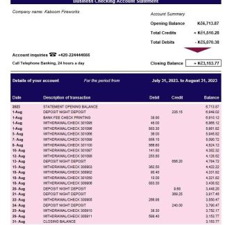 Moneta Money Bank firm account statement Word and PDF template download template file