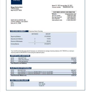 Morgan Stanley Bank organization account statement Word and PDF template download template file