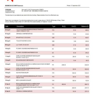 NAB Bank company account statement Word and PDF template download template file