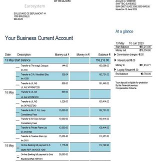 National Bank of Belgium enterprise statement Word and PDF template download template file