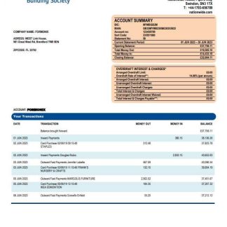 Nationwide Building Society firm bank statement Word and PDF template download template file