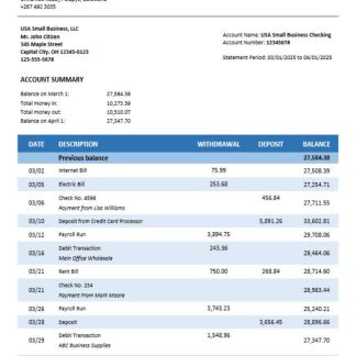ABC bank company checking account statement Word and PDF template download template file