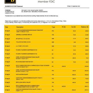 New York Community Bancorp enterprise account statement Word and PDF template download template file