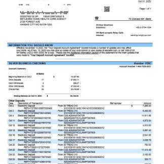 NH Bank firm account statement Word and PDF template download template file