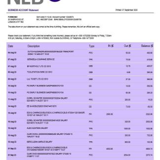 NLB Bank firm account statement Word and PDF template download template file
