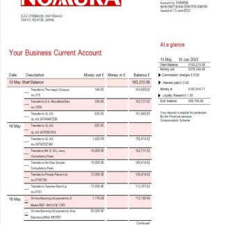 Nomura Bank business statement Word and PDF template download template file