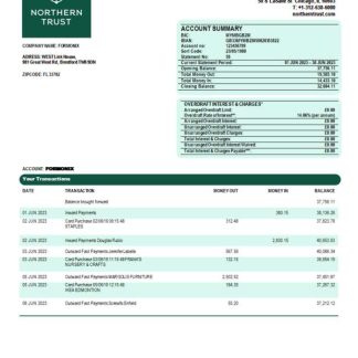 Northern Trust Bank firm statement Word and PDF template download template file