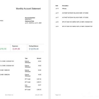 Novo Platform INC online business banking statement, 2 pages download template file