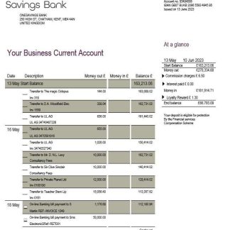 Onesavings Bank business checking account statement Word and PDF template download template file