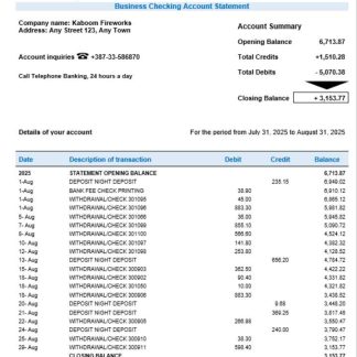 ASA Banka company checking account statement Word and PDF template download template file